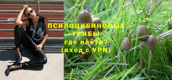 герыч Кодинск