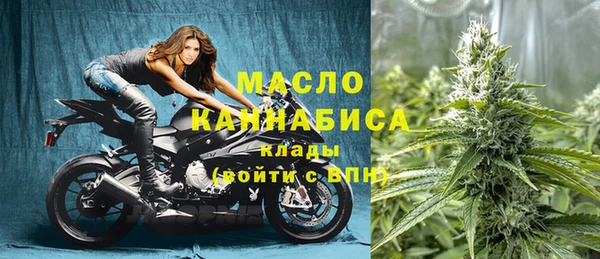 индика Корсаков