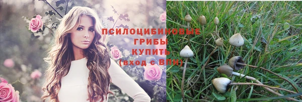 герыч Кодинск