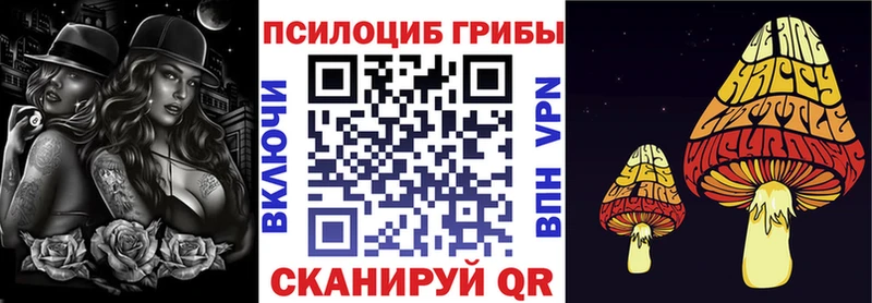 Галлюциногенные грибы Psilocybe  Купить  Балабаново 